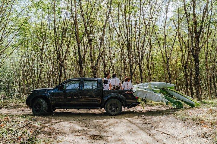 Khaolak Elephant Sanctuary, Cooking Class and Waterfall Tour