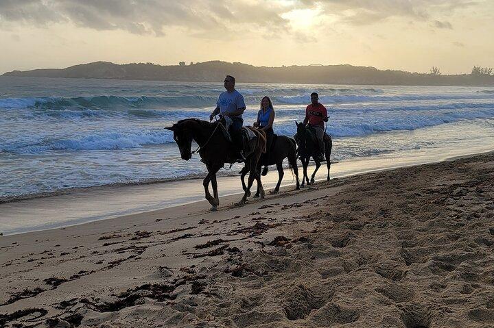 Horseback Riding at the Beach Punta Cana