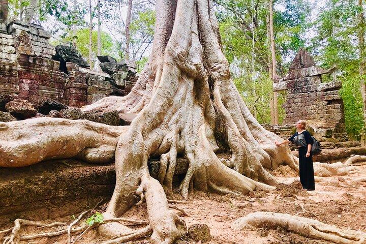 1-Day Angkor Wat Cycling Tour: Scenic Bike Adventure in Siem Reap