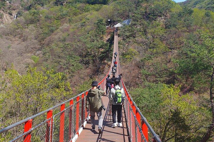 DMZ Private Tour: 3rd Tunnel, Option(Suspension Bridge, Boat)