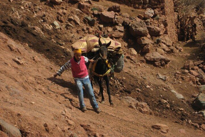 2 Day Private Trekking at Berber villages in Atlas Mountains