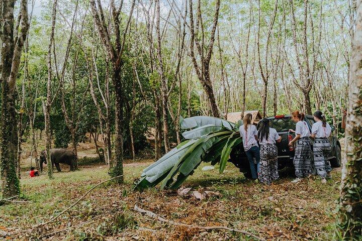 Khaolak Elephant Sanctuary, Cooking Class and Waterfall Tour