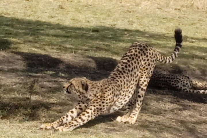 7 Days Kenyan Safaris