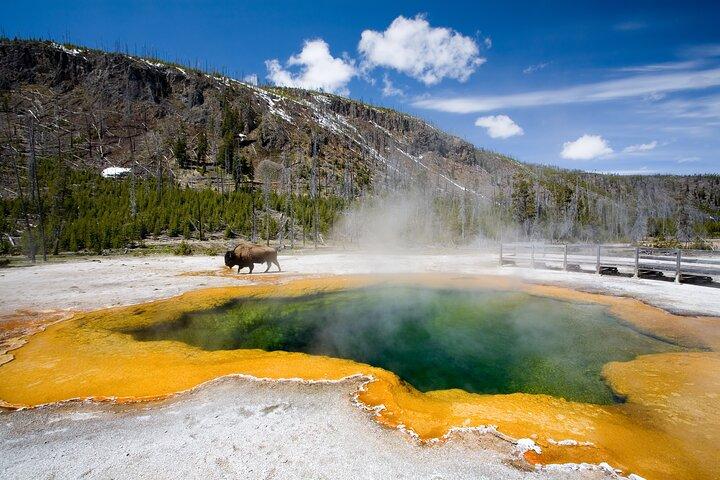 SF to Yellowstone,Grand Teton,Antelope Canyon&Vegas 7-Day Tour