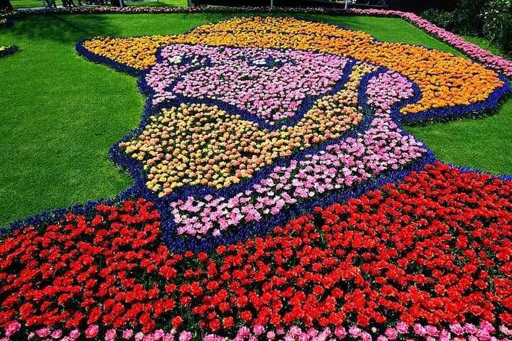 Private Flower Tour to the Keukenhof