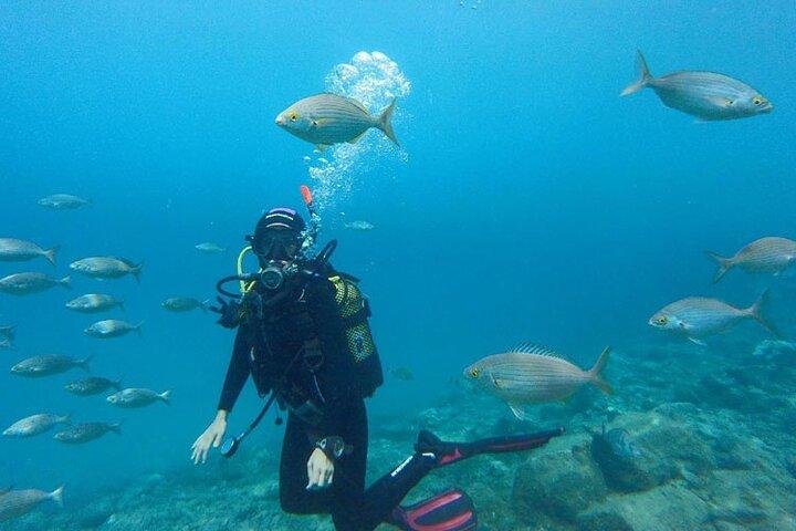 half-day snorkeling in Hurghada Red Sea