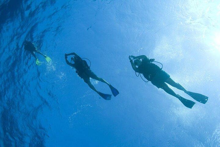 half-day snorkeling in Hurghada Red Sea