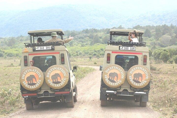 5 Days Tanzania Wildlife Safari Private Tour