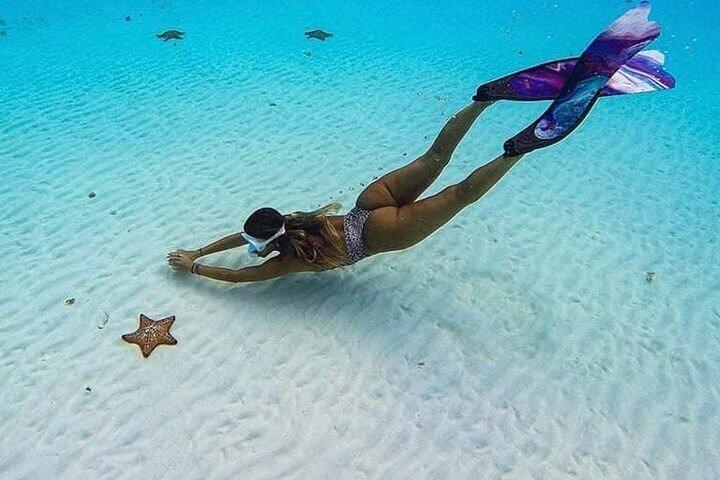 El Cielo Cozumel Snorkeling Tour - All-Inclusive