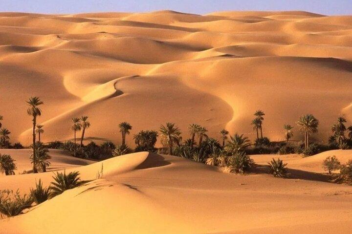 Private Black and White Desert Tour in Bahariya Oasis