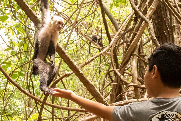 Jaco’s Wild Morning: Monkeys, Crocodiles and Local Flavors