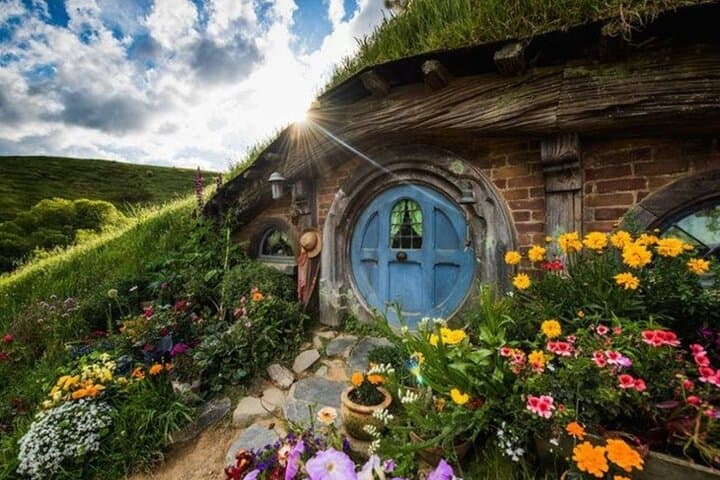 A magical day tour : Hobbiton, Blue Springs, and Waitomo Caves