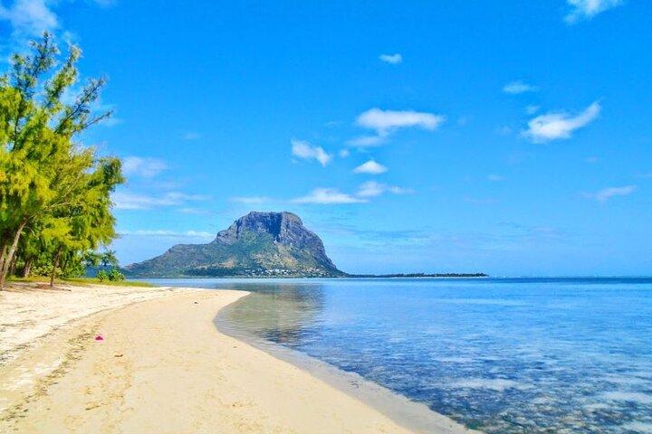 Mauritius : Dolphins Swim and Ile Aux Bénitiers with BBQ