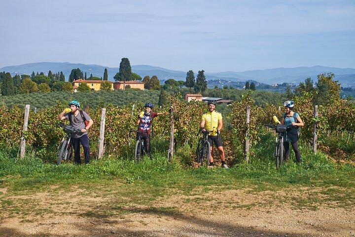 E-bike Chianti Classico & Tuscany tour with Wine & Lunch at Farm