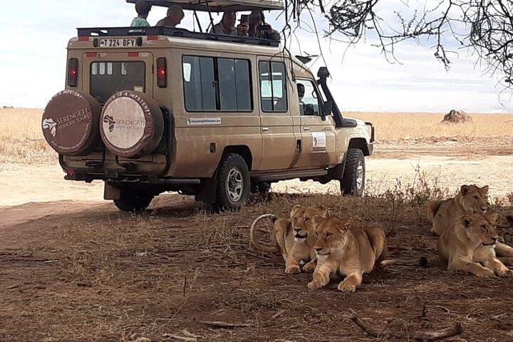 5-Day Fly-in from Zanzibar to Serengeti National Park