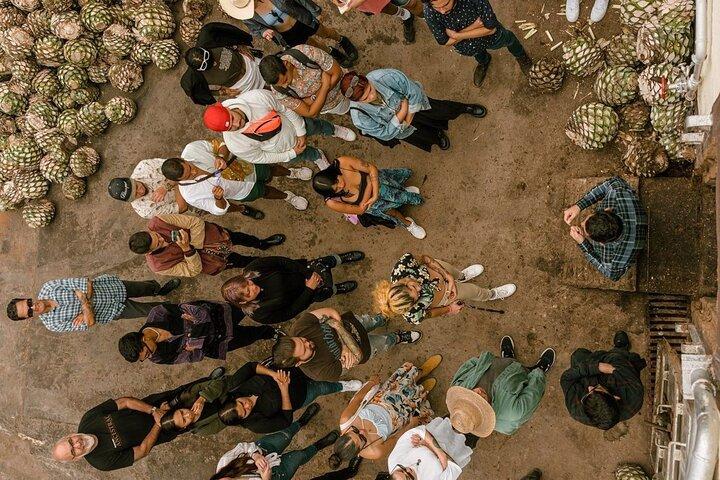 Private Tour one day of Adventure in Tequila and Tequilera Cascahuin