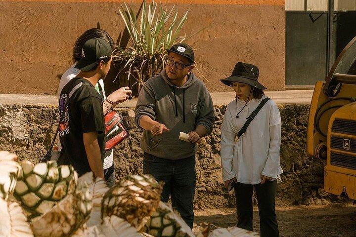 Private Tour one day of Adventure in Tequila and Tequilera Cascahuin