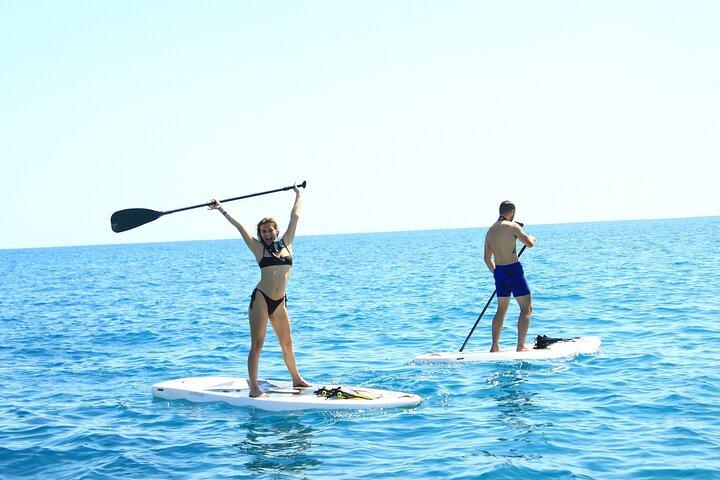 Cabo Half-Day Snorkel Adventure with Lunch and Open Bar