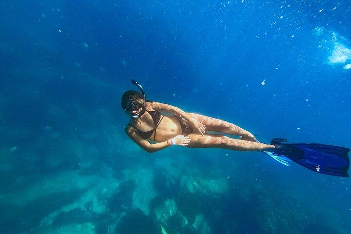Cabo Half-Day Snorkel Adventure with Lunch and Open Bar