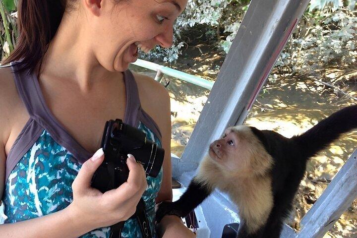 Jungle Adventure & Gatun Lake Cruise with Panama Vibes Tours