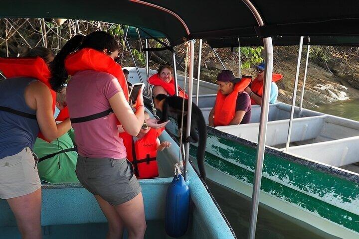 Jungle Adventure & Gatun Lake Cruise with Panama Vibes Tours