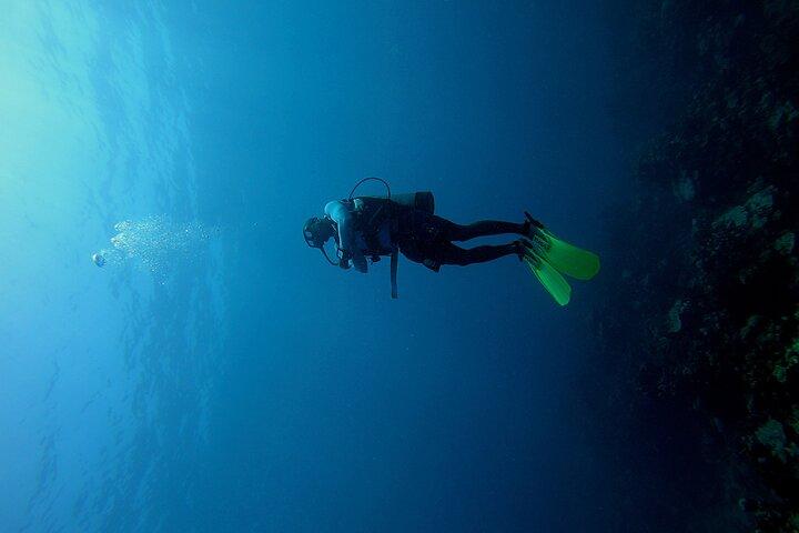 Under a sea of adventures, unforgettable diving.