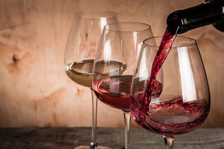 Pompeii Tour and Tasting at the Vesuvius Cellars from Ravello
