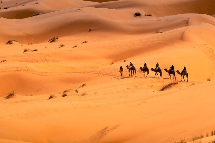 Private Sunrise Safari Tour in Abu Dhabi with Camel Ride