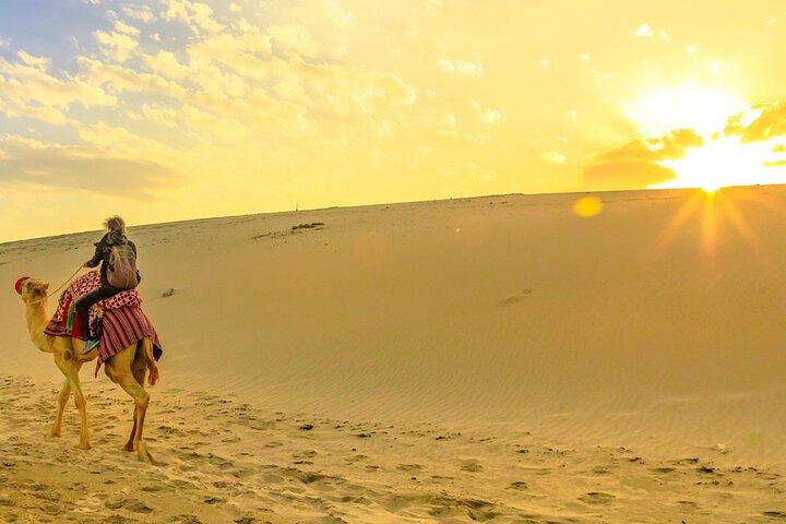 Private Sunrise Safari Tour in Abu Dhabi with Camel Ride
