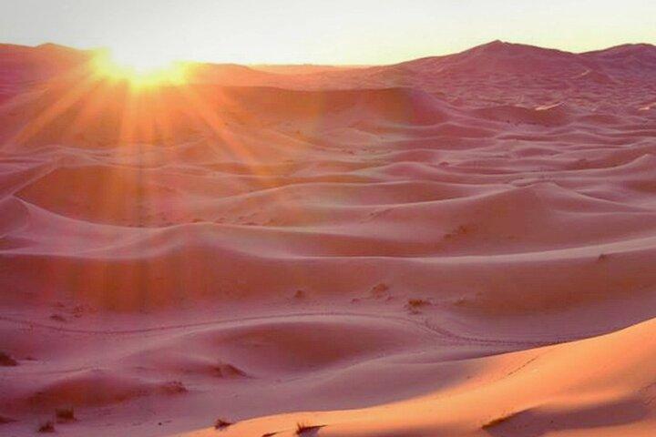 Private Sunrise Safari Tour in Abu Dhabi with Camel Ride