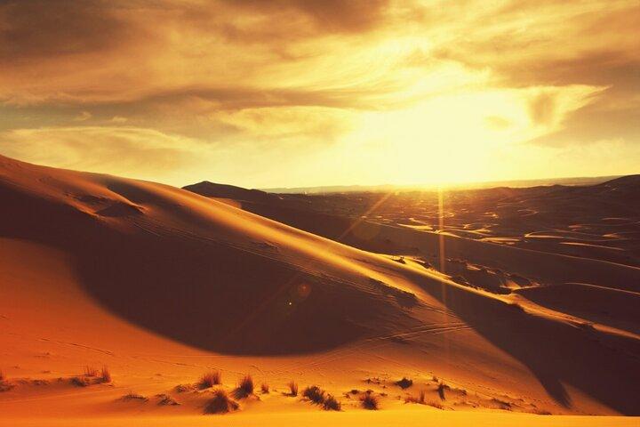 Private Sunrise Safari Tour in Abu Dhabi with Camel Ride