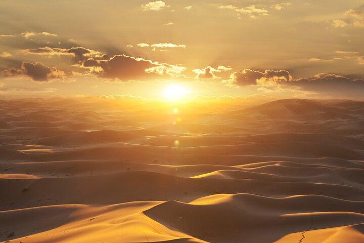 Private Sunrise Safari Tour in Abu Dhabi with Camel Ride