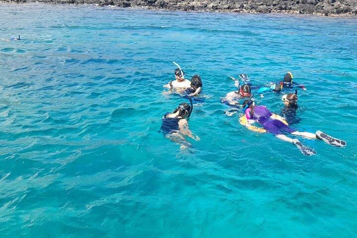 Pinzón Island Day Tour: Santa Fe & Las Palmas Snorkeling