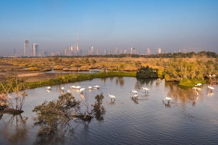 Dubai City Tour with Burj Khalifa