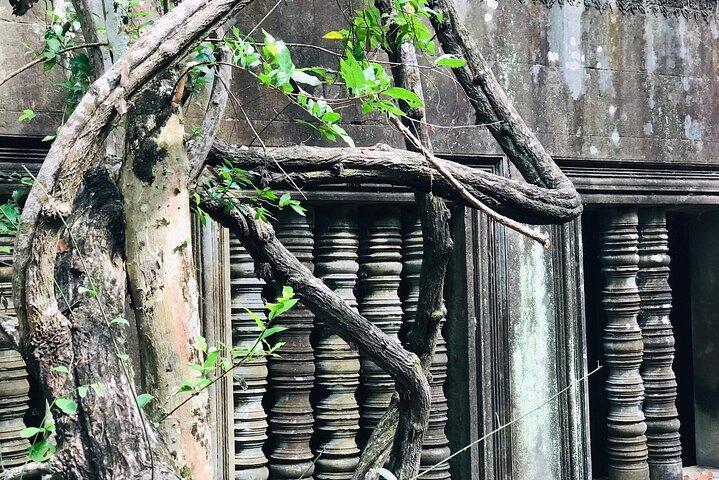 1-Day Angkor Wat Sunrise Tour & Temple Exploration | Cambodia