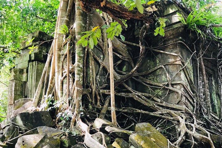 1-Day Angkor Wat Sunrise Tour & Temple Exploration | Cambodia
