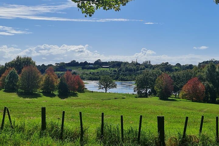 Auckland Nature Tour