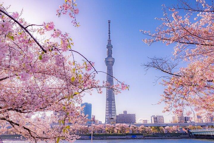 Tokyo Asakusa Half Day Walking Tour with Local Guide
