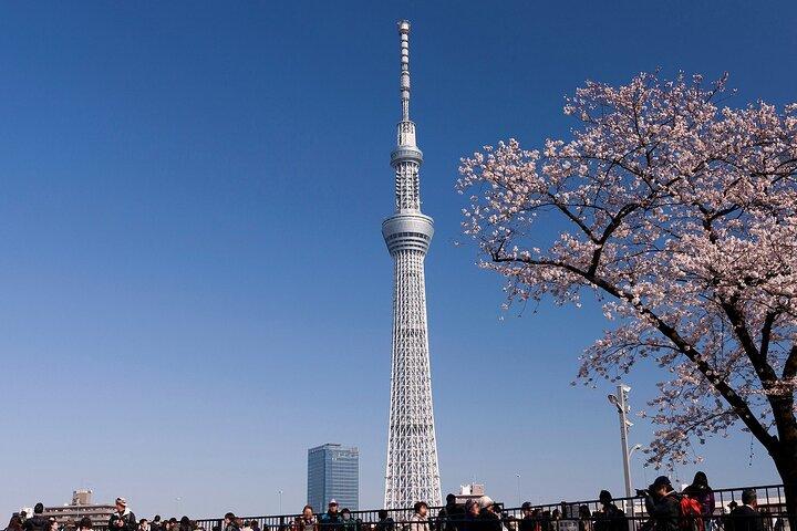Tokyo Asakusa Half Day Walking Tour with Local Guide