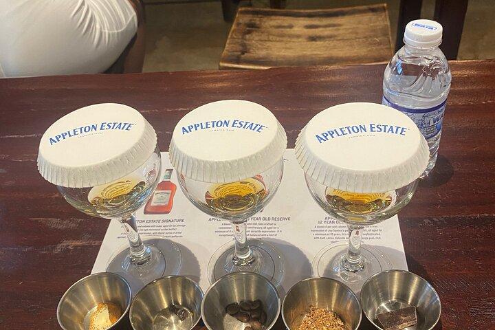 Private Appleton Estate Rum Tour with Limestone Massage, Rafting