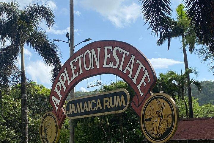 Private Appleton Estate Rum Tour with Limestone Massage, Rafting