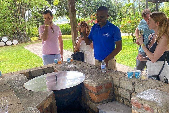 Private Appleton Estate Rum Tour with Limestone Massage, Rafting
