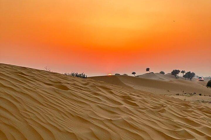 4-Hour Morning Desert Safari Dubai with Dune Bashing & Camel Ride