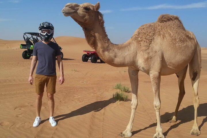 4-Hour Morning Desert Safari Dubai with Dune Bashing & Camel Ride