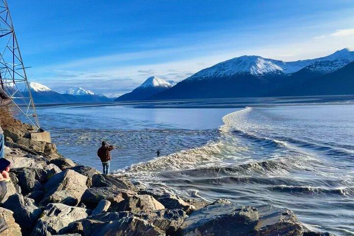 Ultimate Anchorage Summer Wildlife Tour