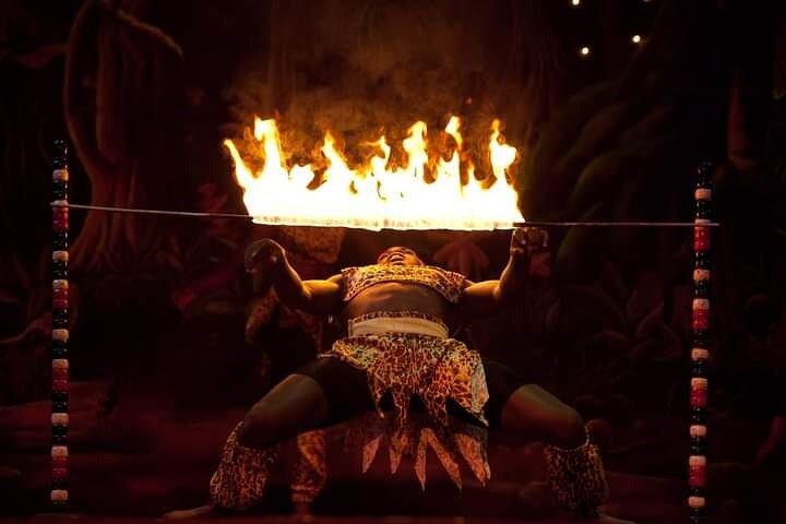 Private Dinner and Dance Experience in Nairobi Safari Park Hotel