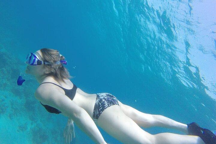 Snorkeling Trip with pick up ( beach)