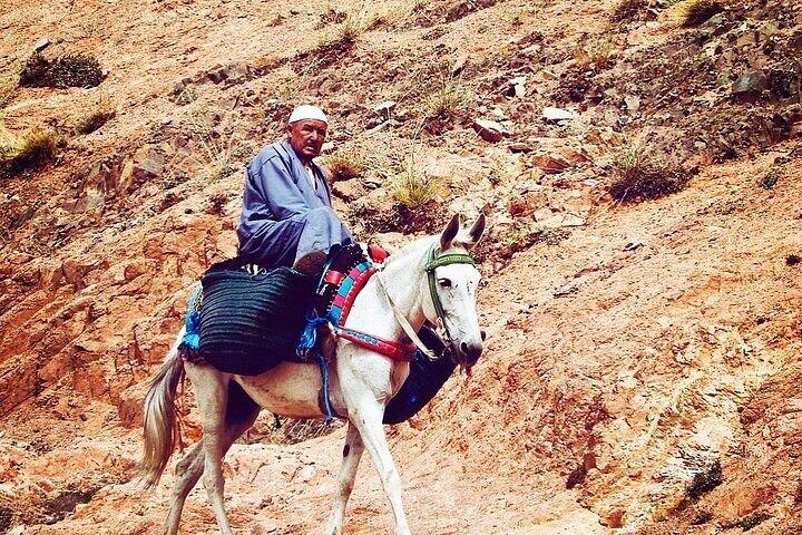 Atlas Mountains Tour from Marrakech