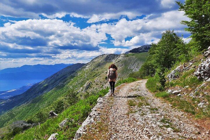 Lovcen mountain Circle Panoramic - Hiking Tours in Montenegro