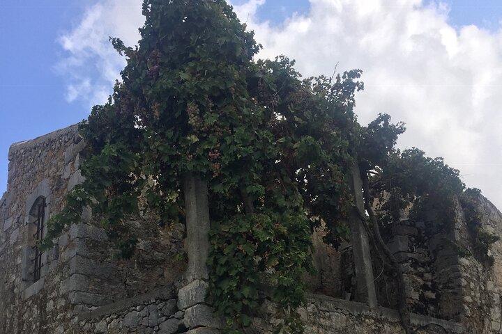 Explore the Real Crete-Zeus’s Cave - Villages-Olive Oil Factory